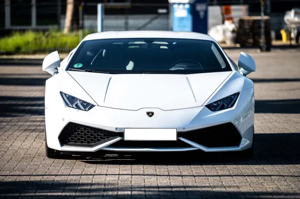 Casino Dogs Fortune Application Android/iOS